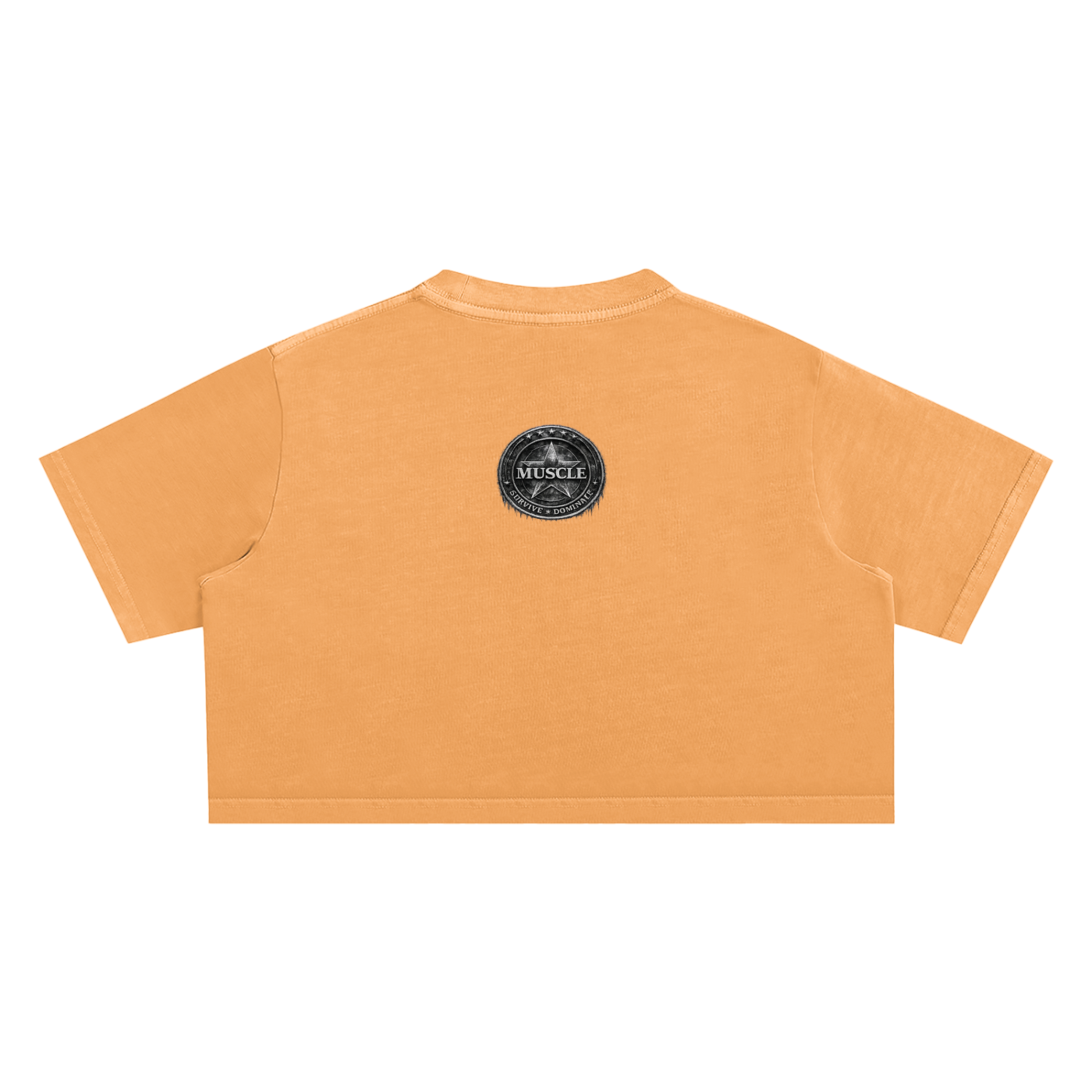 Snow Washed Crop Top